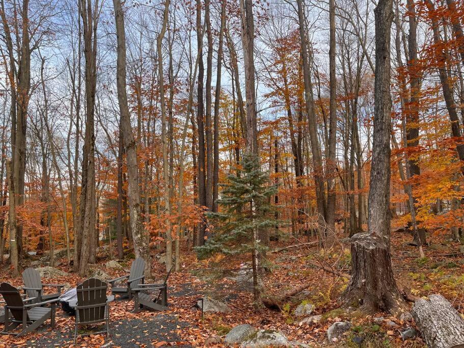 Stylish And Cozy Cabin, Walking Distance To Big Bass Lake Gouldsboro エクステリア 写真