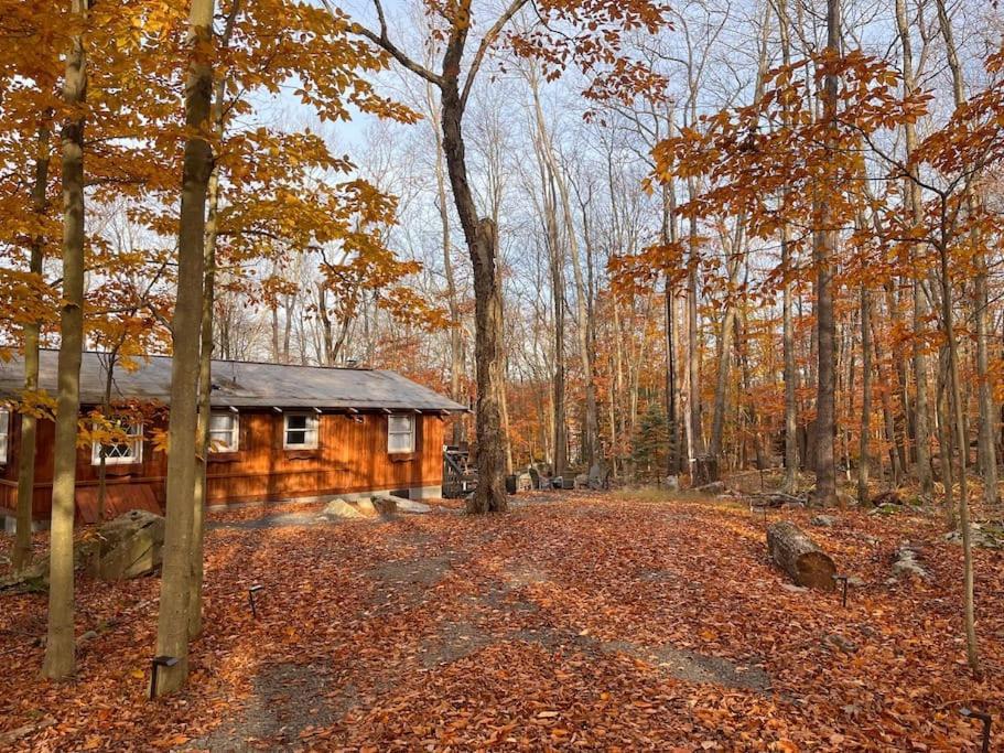 Stylish And Cozy Cabin, Walking Distance To Big Bass Lake Gouldsboro エクステリア 写真